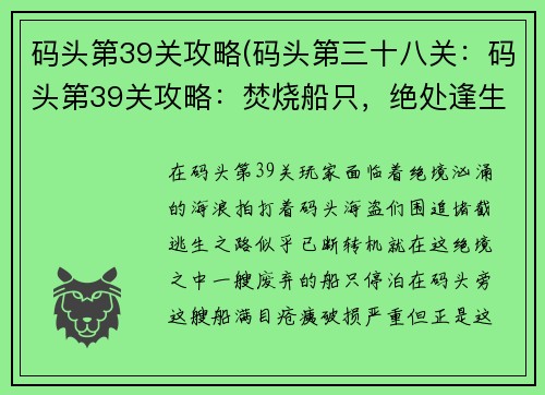 码头第39关攻略(码头第三十八关：码头第39关攻略：焚烧船只，绝处逢生)